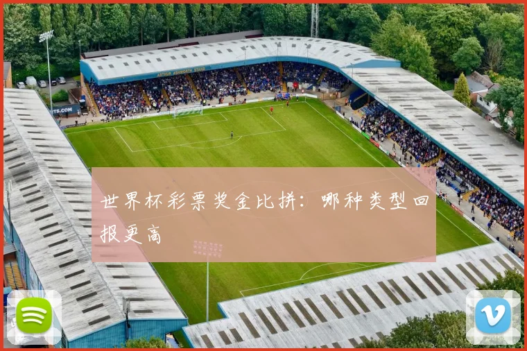 世界杯彩票奖金比拼:哪种类型回报更高