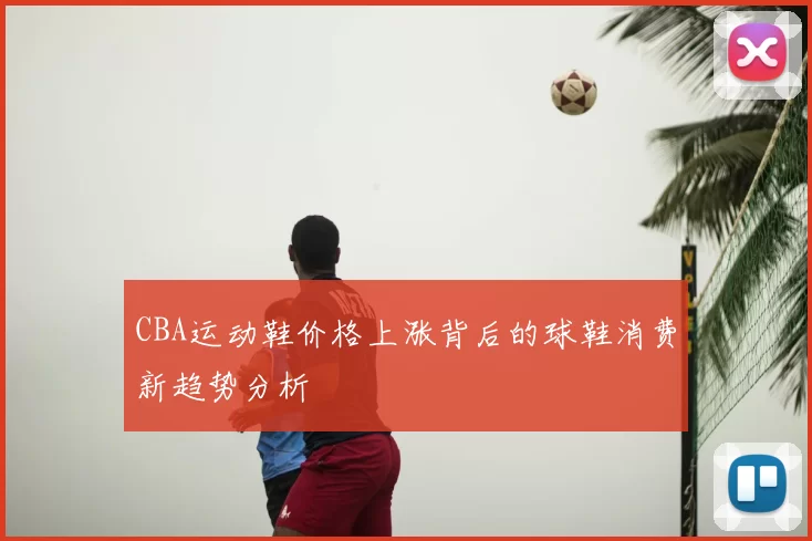 CBA运动鞋价格上涨背后的球鞋消费新趋势分析