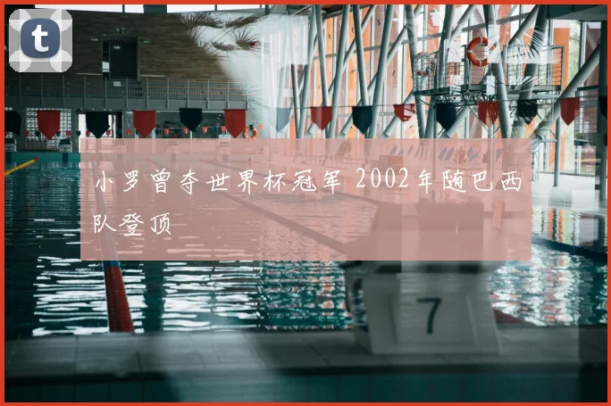 小罗曾夺世界杯冠军 2002年随巴西队登顶
