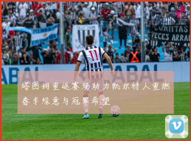 塔图姆重返赛场助力凯尔特人重燃春季绿意与冠军希望
