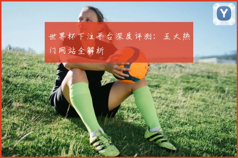 世界杯下注平台深度评测:五大热门网站全解析