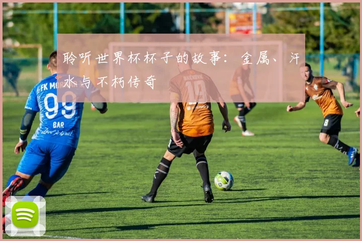 聆听世界杯杯子的故事：金属、汗水与不朽传奇
