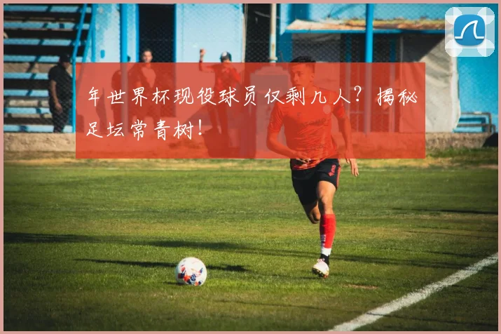 年世界杯现役球员仅剩几人?揭秘足坛常青树!