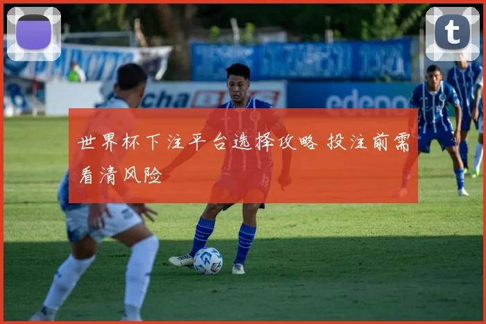 世界杯下注平台选择攻略 投注前需看清风险