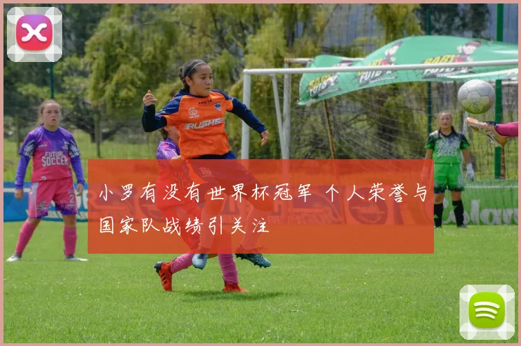小罗有没有世界杯冠军 个人荣誉与国家队战绩引关注