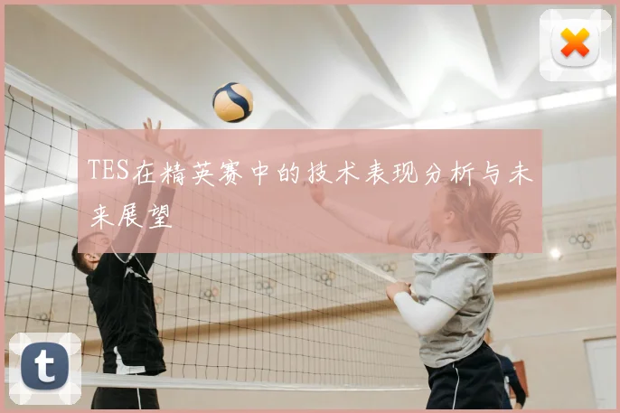 TES在精英赛中的技术表现分析与未来展望