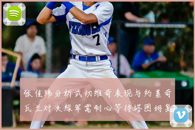 张佳玮分析武切维奇表现与约基奇瓦兰对决绿军需耐心等待塔图姆复出