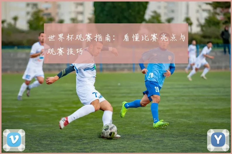 世界杯观赛指南：看懂比赛亮点与观赛技巧