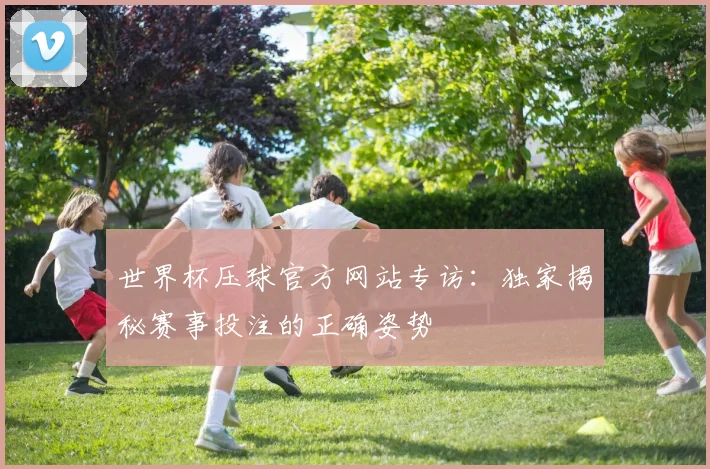世界杯压球官方网站专访:独家揭秘赛事投注的正确姿势