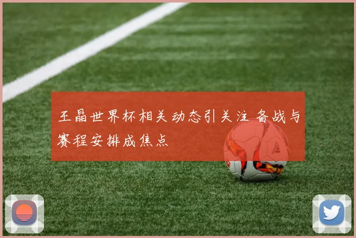 王晶世界杯相关动态引关注 备战与赛程安排成焦点