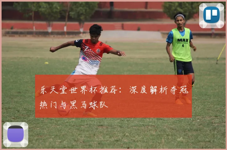 乐天堂世界杯推荐：深度解析夺冠热门与黑马球队